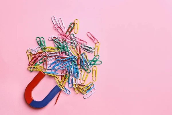 Red and blue horseshoe magnet attracting colorful paperclips on pink background, flat lay. Space for text