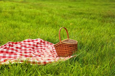Parkta çimüzerinde piknik battaniye ve sepet