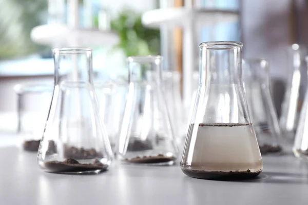 Louça de vidro com amostras de solo e extrato em mesa cinza. Investigação laboratorial — Fotografia de Stock