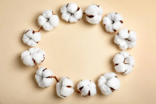 Cadre réalisé avec des fleurs de coton sur fond beige, vue de dessus. Espace pour le texte — Photo