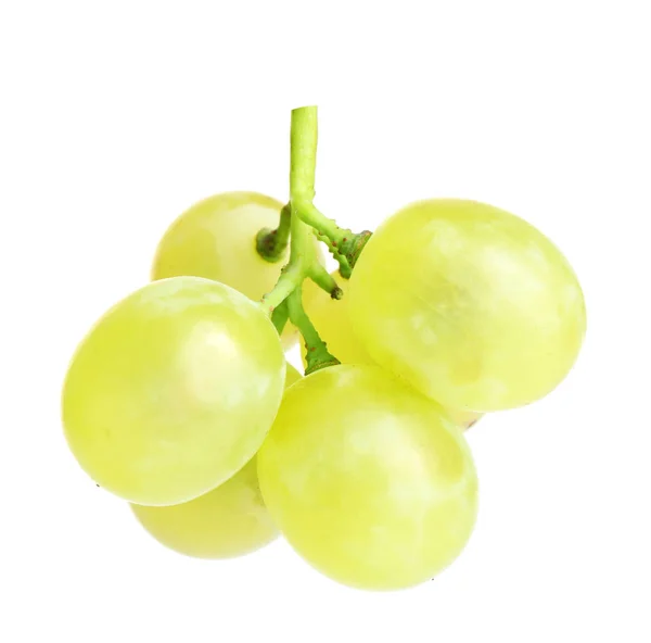 Fresh ripe juicy grapes isolated on white — Stock Photo, Image