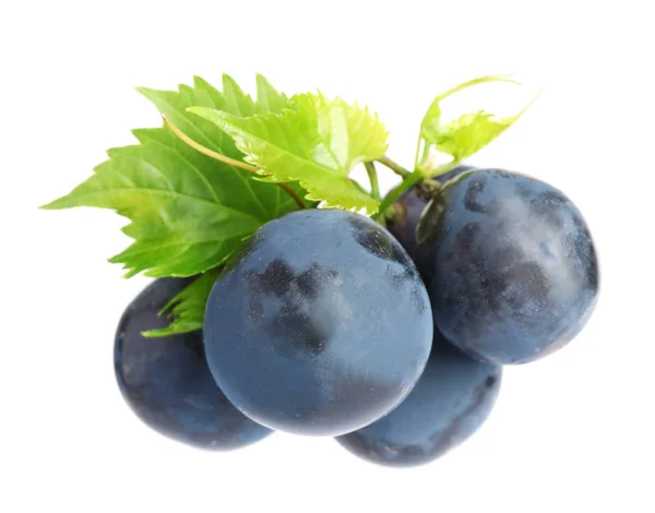 Fresh ripe juicy black grapes isolated on white — Stock Photo, Image