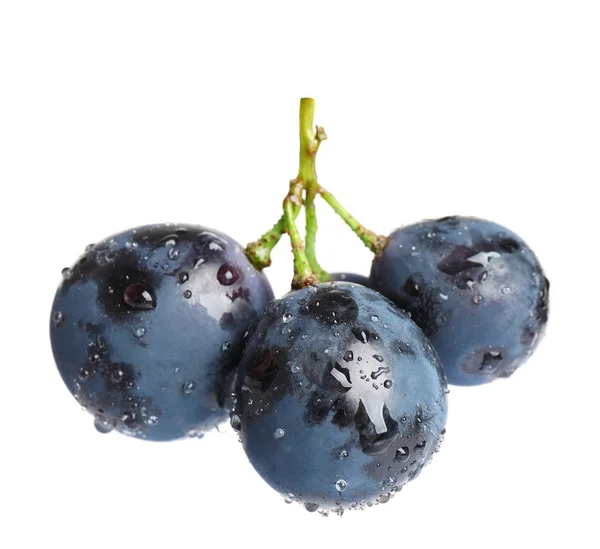 Uvas pretas suculentas frescas e maduras isoladas em branco — Fotografia de Stock