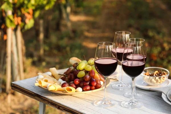 Vin rouge et collations servis pour pique-nique sur une table en bois blanc à l'extérieur — Photo