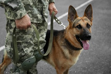 Alman çoban köpeği ile askeri üniformalı adam açık havada, closeup