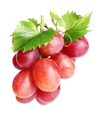 Taze olgun sulu pembe üzüm beyaz izole