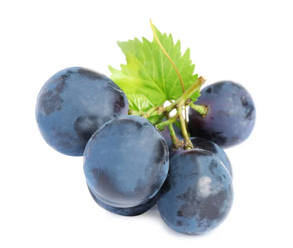 Świeże dojrzałe soczyste czarne winogrona na białym tle — Zdjęcie stockowe