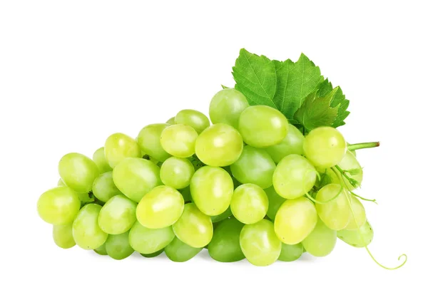 Bando de uvas frescas maduras e suculentas isoladas em branco — Fotografia de Stock