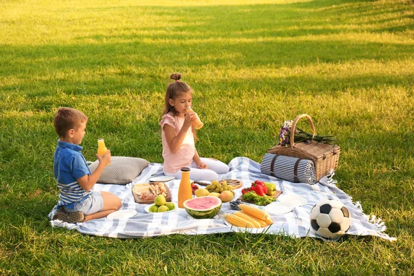 Boldog gyermekek piknik a parkban napsütéses — Stock Fotó