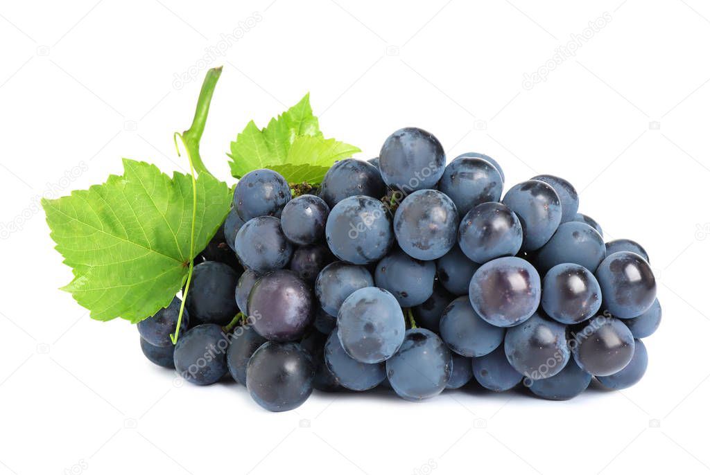 Bunch of fresh ripe juicy black grapes isolated on white