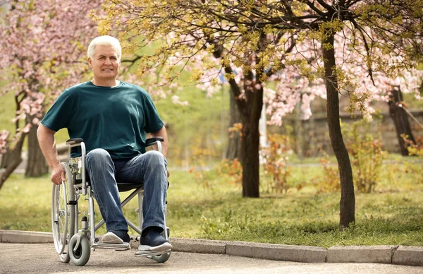 Homem sênior em cadeira de rodas no parque no dia ensolarado — Fotografia de Stock