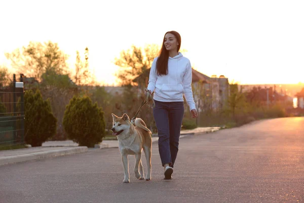 Mujer joven paseando a su adorable perro Akita Inu al aire libre — Foto de Stock