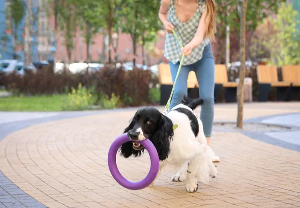 Γυναίκα που παίζει με το Αγγλικό σκυλί της σε εξωτερικούς χώρους — Φωτογραφία Αρχείου