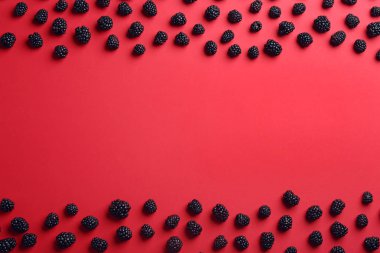 Kırmızı arka plan üzerinde olgun böğürtlen ile Düz yatıyordu kompozisyon. Metin için alan