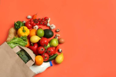 Mercan arka plan üzerinde farklı bakkaliye ile Kağıt torba, düz yatıyordu. Metin için alan