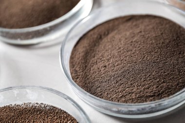 Petri tabakları gri masa üzerinde toprak örnekleri ile, closeup. Laboratuvar araştırmaları