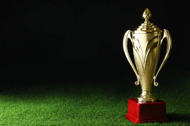 Siyah arka plan karşı yeşil çim üzerinde Altın kupa kupası. Metin için alan