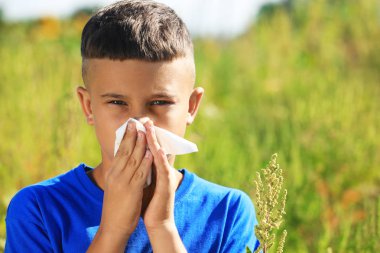 Küçük çocuk ragweed alerjisi açık havada muzdarip
