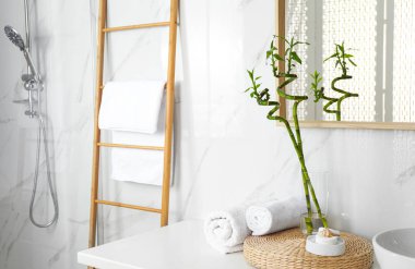 Şık banyo iç yaprakları ile Tropikal bambu kaynaklanıyor