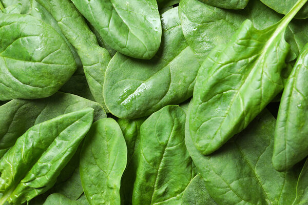 Fresh green healthy spinach as background, closeup view