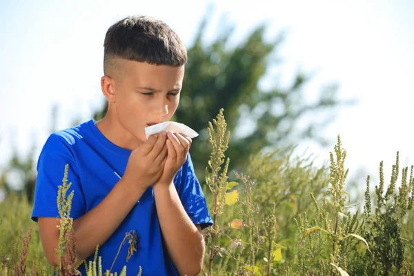 Niño pequeño que sufre de alergia a la ambrosía al aire libre — Foto de Stock