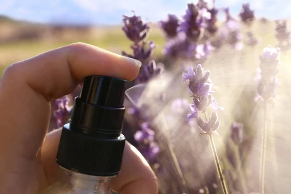 Woman spraying facial toner with lavender essential oil out of bottle in blooming field, closeup — Stock Photo, Image