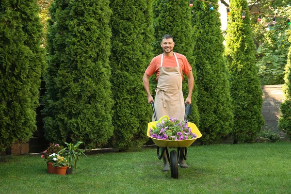 Lycklig man med skottkärra arbetar i trädgården — Stockfoto