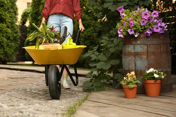 Tukang kebun perempuan dengan gerobak dan tanaman di luar ruangan, closeup — Stok Foto