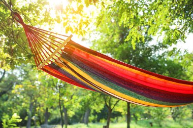 Yeşil bahçede asılı parlak rahat hamak