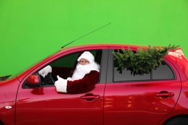 Yeşil arka plan karşı köknar ağacı sürüş araba ile Otantik Noel Baba