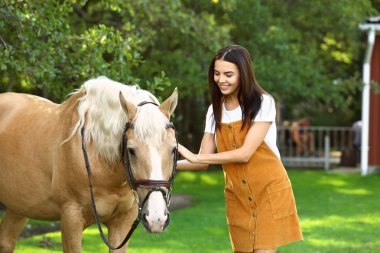 Palomino at dizgin ve genç kadın açık havada