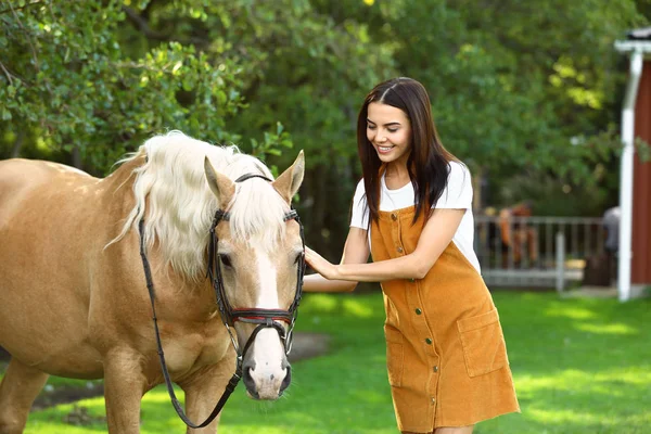 Caballo Palomino en brida y mujer joven al aire libre —  Fotos de Stock