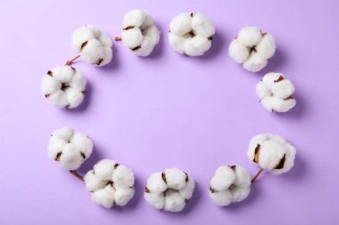 Çerçeve leylak arka plan üzerinde pamuk çiçekleri ile yapılan, üst görünümü. Metin için alan