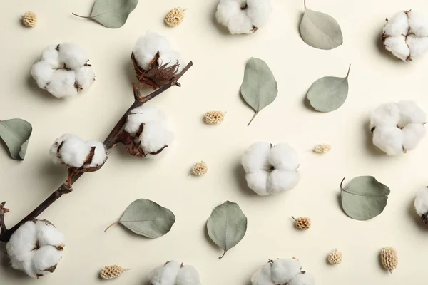 ベージュの背景に綿の花とフラットレイ組成物 — ストック写真