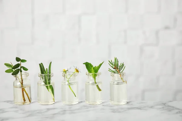 Flacons en verre de différentes huiles essentielles avec des plantes sur la table — Photo