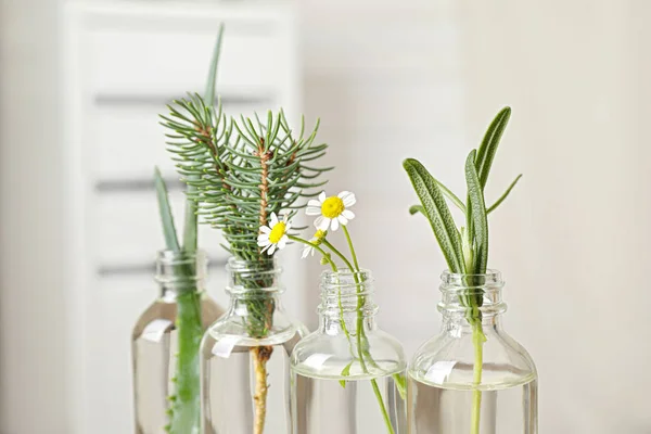 Frascos de vidrio de diferentes aceites esenciales con plantas sobre fondo borroso, primer plano — Foto de Stock
