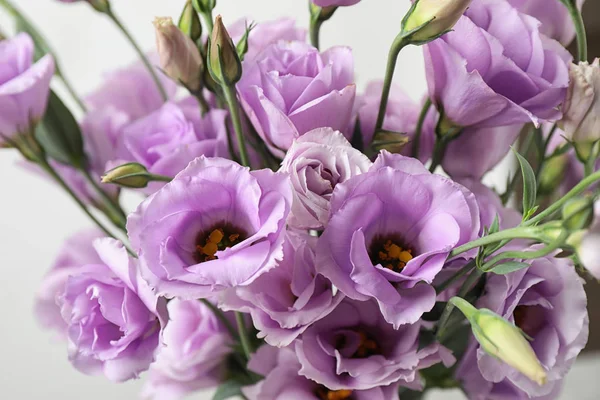 Hermosas flores de Eustoma sobre fondo blanco, primer plano —  Fotos de Stock