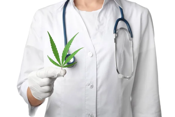 Doctor Holding blad av medicinsk hampa på vit bakgrund, närbild — Stockfoto