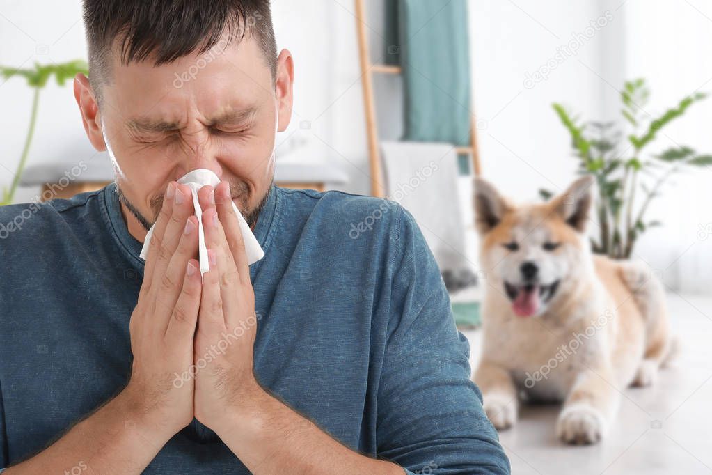 Man suffering from allergy to dogs at home
