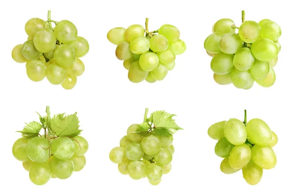 Conjunto de uvas frescas e suculentas sobre fundo branco — Fotografia de Stock