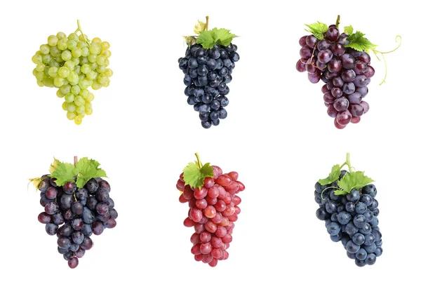 Conjunto de uvas frescas e suculentas sobre fundo branco — Fotografia de Stock