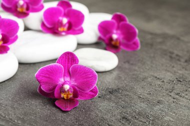 Gri arkaplanda beyaz spa taşları ve orkide çiçekleri