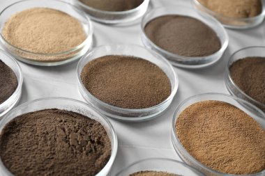 Gri masa üzerinde toprak örnekleri ile Petri yemekleri. Laboratuvar araştırmaları