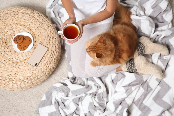 毛布にかわいい赤い猫とお茶を持つ女性、トップビュー — ストック写真