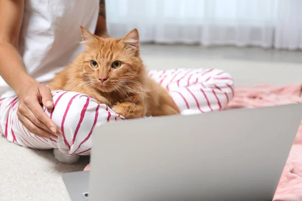 有可爱的红色猫和笔记本电脑的女人在家里，特写镜头。 案文的篇幅 — 图库照片