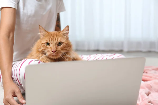 Woman with cute red cat and laptop at home, closeup view. Space for text — Stock Photo, Image