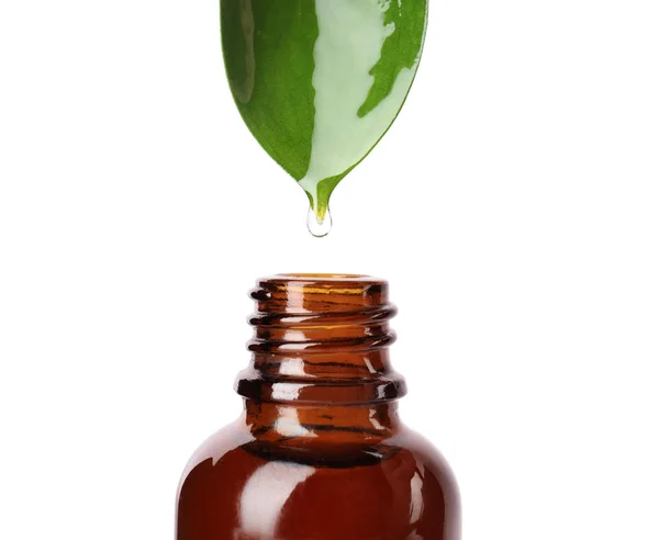 Essential oil drop falling from green leaf into glass bottle on white background, closeup — Stock Photo, Image