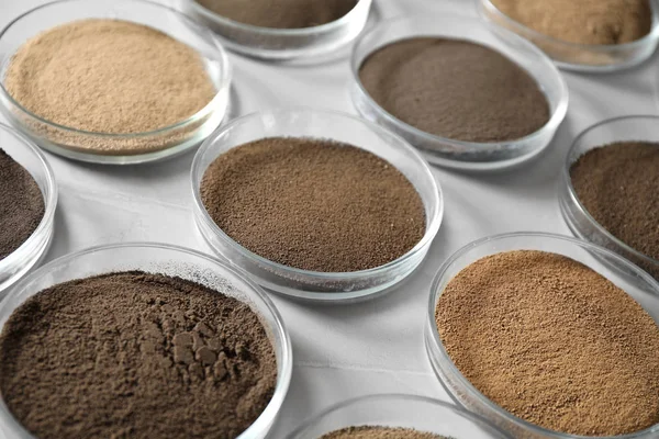 Gri masa üzerinde toprak örnekleri ile Petri yemekleri. Laboratuvar araştırmaları