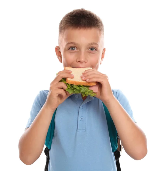 Liten pojke äter smörgås på vit bakgrund. Hälsosam mat för skollunch — Stockfoto