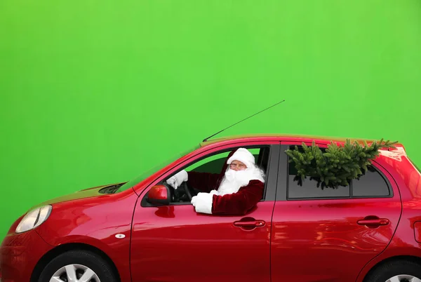 Autêntico Papai Noel com abeto dirigindo carro contra fundo verde — Fotografia de Stock